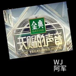 Listen to 火柴天堂 (cover: 薛之谦|锤娜丽莎) (Live) song with lyrics from WJ鑫晟