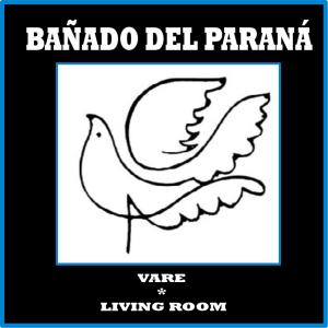 Living Room的专辑Bañado Del Paraná (with Vare)