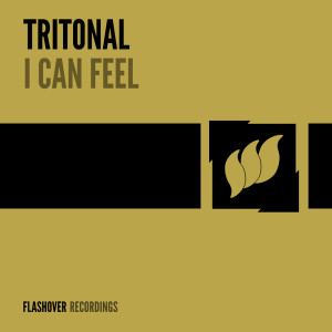 I Can Feel dari Tritonal