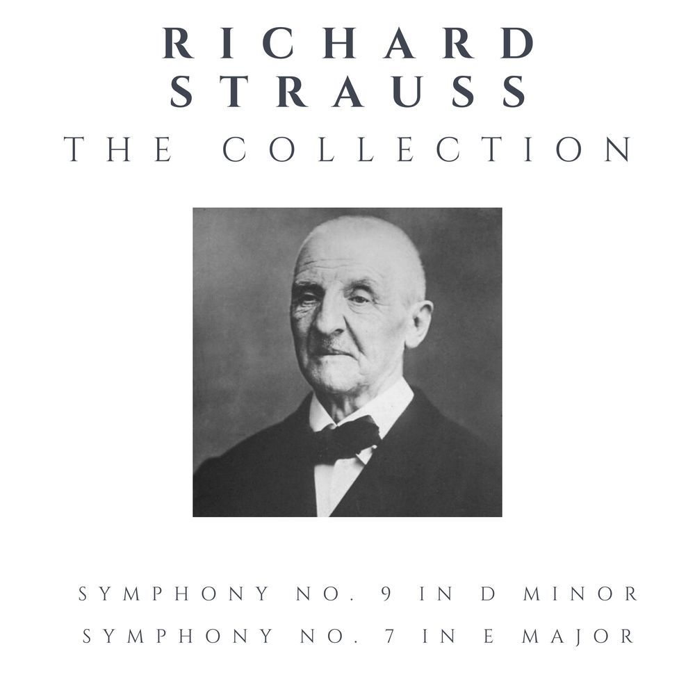 Symphony No. 7 in E major, WAB 107: II. Adagio