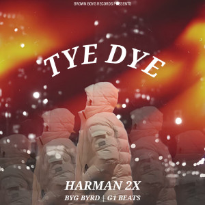 Album Tye Dye from Harman 2x