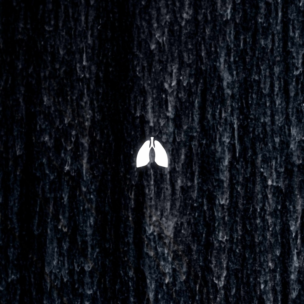 Fall from Grace (Extended Mix)