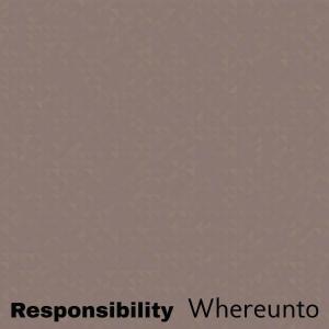 Various Artists的專輯Responsibility Whereunto