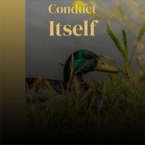 Listen to Sinister Resort song with lyrics from Catia Brha