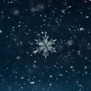 ดาวน์โหลดและฟังเพลง 아주 특별한 눈송이 พร้อมเนื้อเพลงจาก 조창규