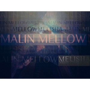 ดาวน์โหลดและฟังเพลง Need Me พร้อมเนื้อเพลงจาก Malin Mellow
