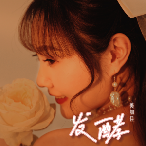 Album 发酵 from 美加佳