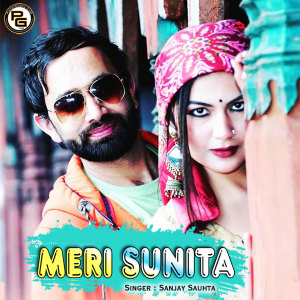 收听Sanjay Sauhta的Meri Sunita歌词歌曲