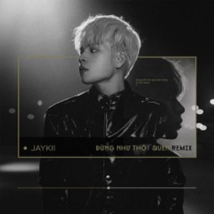Listen to Đừng Như Thói Quen (Remix) song with lyrics from Jaykii