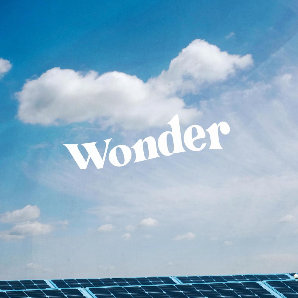 Wonder