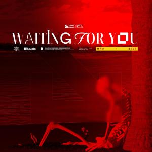อัลบัม Waiting For You (feat. Vera van Eyken) ศิลปิน Dkuul