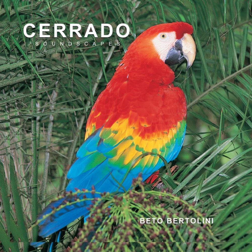 Cerrado-32