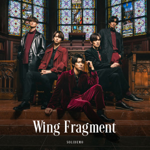 Solidemo的專輯Wing Fragment