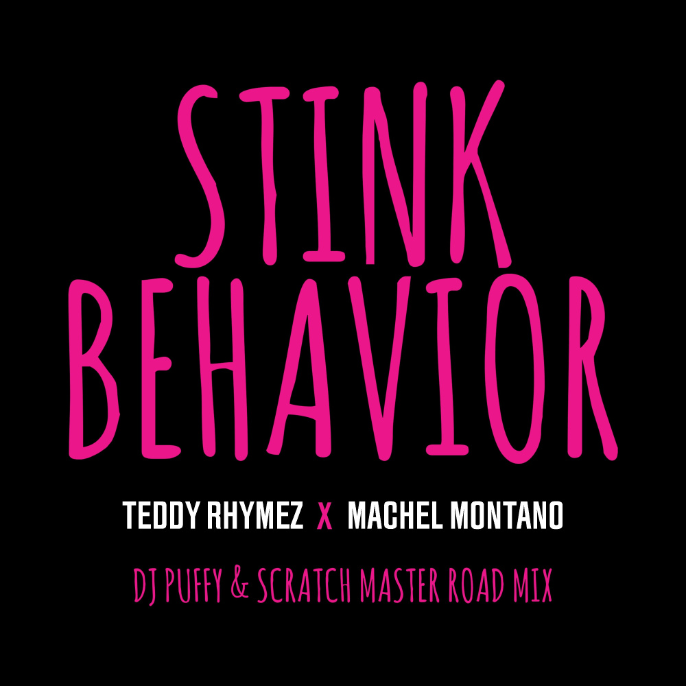 Stink Behavior (DJ Puffy & Scratch Master Road Mix) (其他|DJ Puffy & Scratch Master Road Mix)