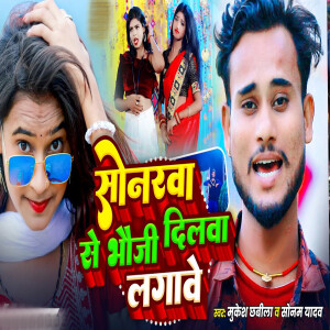 Album Sonarwa Se Bhouji Dilwa Lagave from Mukesh Chabila