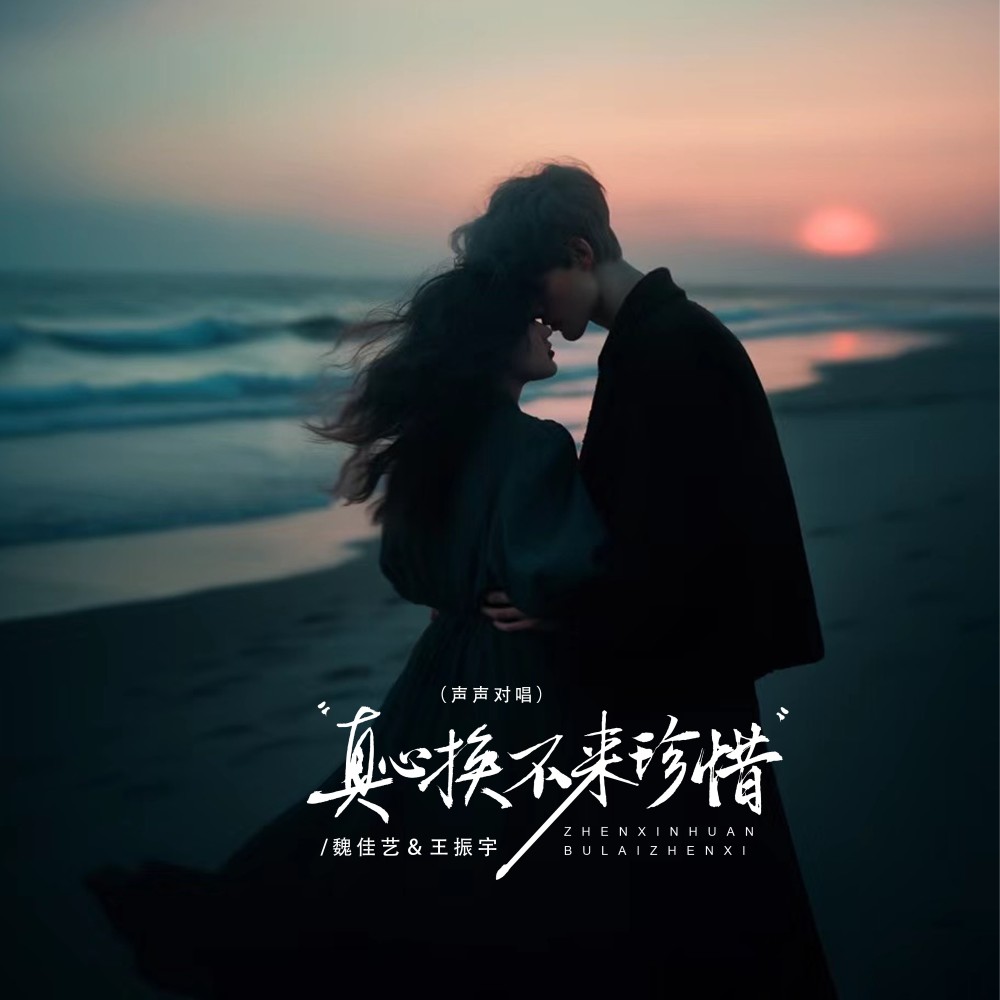 真心换不来珍惜（声声对唱） (完整版)