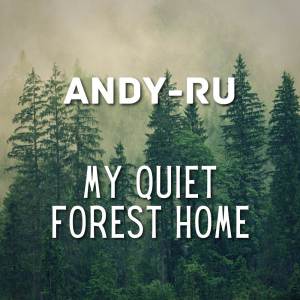 ดาวน์โหลดและฟังเพลง My Quiet Forest Home (From "Octopath Traveler") (Cover Version) พร้อมเนื้อเพลงจาก Andy-Ru