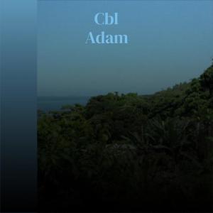 Listen to Cbl Adam song with lyrics from Pierry Petrr