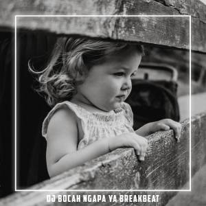 Album DJ BOCAH NGAPA YAK BREAKBEAT from Olyx