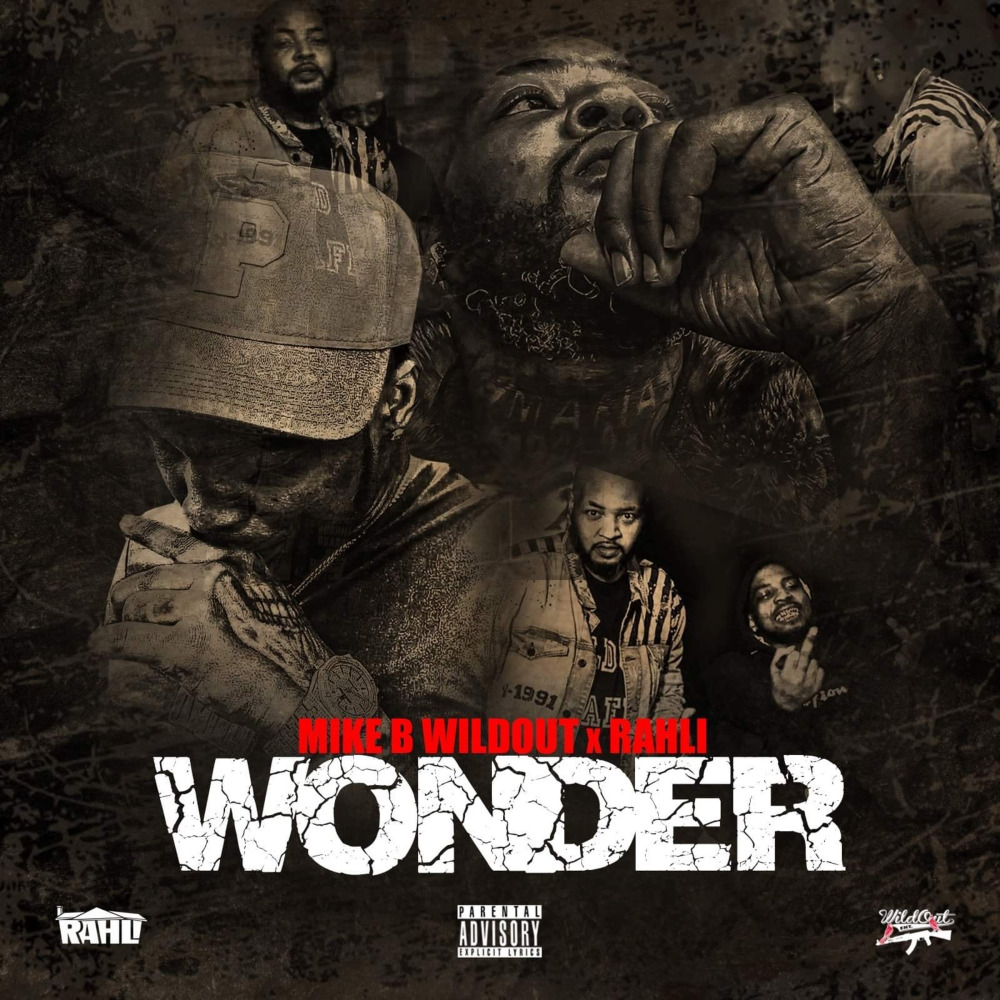 Wonder (Explicit)