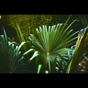 Listen to Easy and Fast Sleep song with lyrics from Deep Sleep