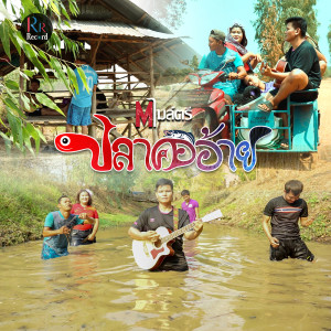 อัลบัม ปลาคออ้าย - Single ศิลปิน เอ็ม ไมล์ตรี