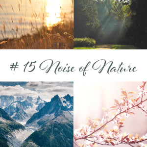 Dengarkan Windy & Rainy Day lagu dari Relaxing Nature Sounds Collection dengan lirik