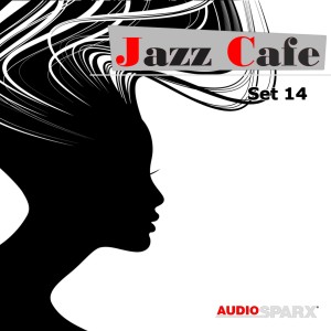 Various Artists的专辑Jazz Café, Set 14