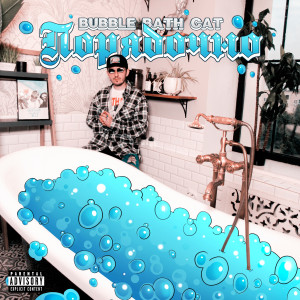 Album Порядочно (Explicit) from Bubble Bath Cat