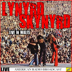 Listen to Simple Man (Live) song with lyrics from Lynyrd Skynyrd