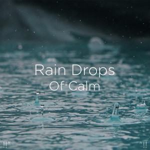 收听Rain Sounds的Relaxing Rain歌词歌曲
