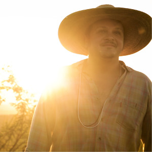ดาวน์โหลดและฟังเพลง Boiadeiro พร้อมเนื้อเพลงจาก Cris Ribeiro