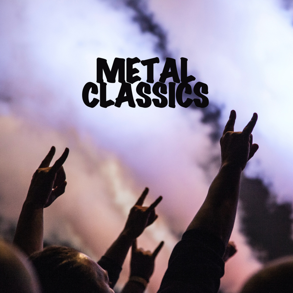 Paradise City (Live)