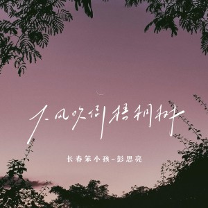 Listen to 大风吹倒梧桐树 song with lyrics from 长春笨小孩-彭思亮