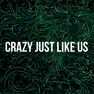 Listen to Crazy Just Like Us song with lyrics from Joe Marson