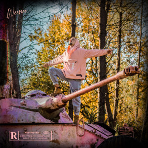 Listen to Aquarelle(feat. Gasp, Théo ) (Explicit) song with lyrics from Weenee