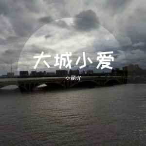 小麗吖的專輯大城小愛