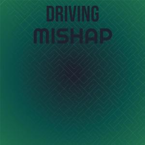 Album Driving Mishap from Various