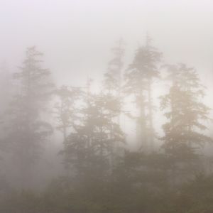收聽Yoga Music的Healing Tones歌詞歌曲