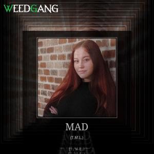 Listen to MAD  (Explicit) song with lyrics from WEEDGANG
