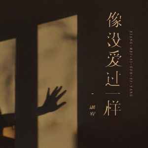 Listen to 像没爱过一样 (伴奏) song with lyrics from 谌宥