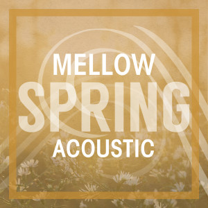 ดาวน์โหลดและฟังเพลง Heart's On Fire พร้อมเนื้อเพลงจาก Passenger