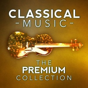 ดาวน์โหลดและฟังเพลง Rondo in D Major, K. 485 พร้อมเนื้อเพลงจาก Martin Jacoby