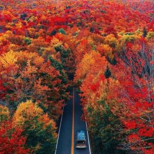 Dengarkan Autumn Fall lagu dari Five Minutes More dengan lirik