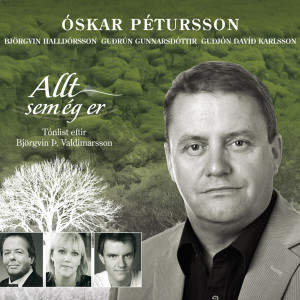 Album Allt sem ég er from 
