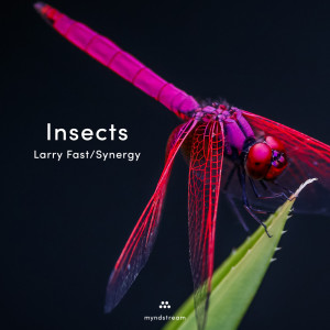 Dengarkan Insects lagu dari Larry Fast dengan lirik