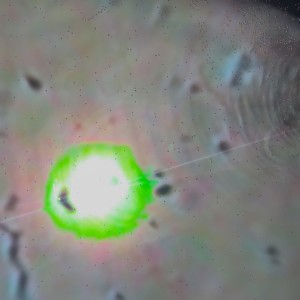 收听Tenchi的Born to die歌词歌曲