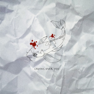 ดาวน์โหลดและฟังเพลง Crying Over You พร้อมเนื้อเพลงจาก Coy