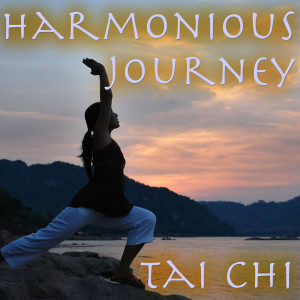 Tai Chi的專輯Harmonious Journey