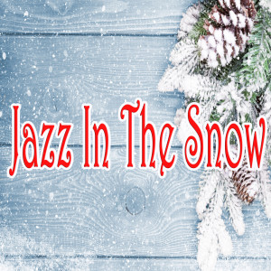 Album Jazz in the snow from Jazz Instrumental Songs Cafe